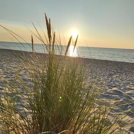 U Jagodzianki * Smoldzinski Las