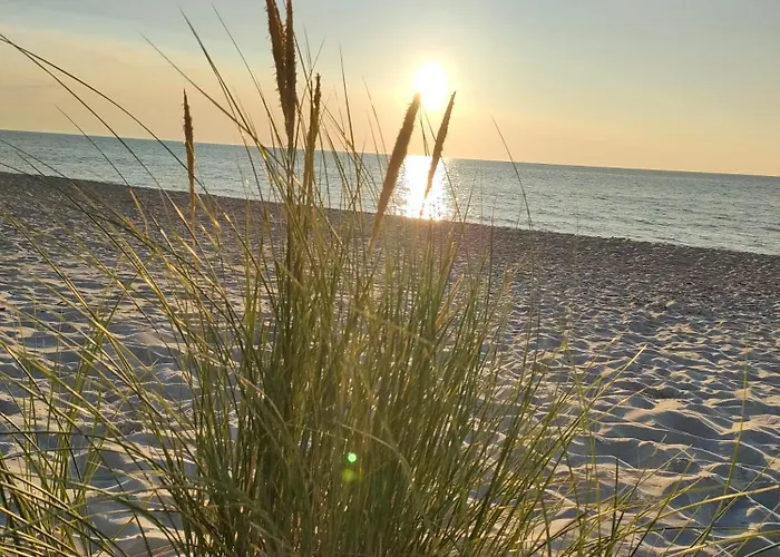 U Jagodzianki * Smoldzinski Las